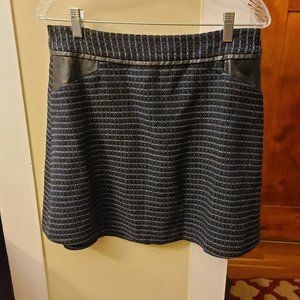 Mini Skirt (The Limited)